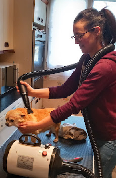 salon de toilettage à Barjouville près de Chartres en Eure-et-Loir 28